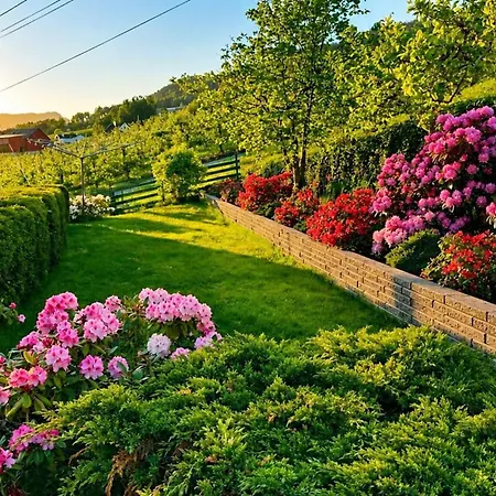 Casa Hauge Bb Fjordview サンダーネ